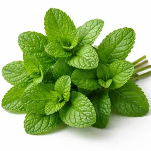 Read more about the article Mint Benefits: Digestion, Energy, and Natural Relief