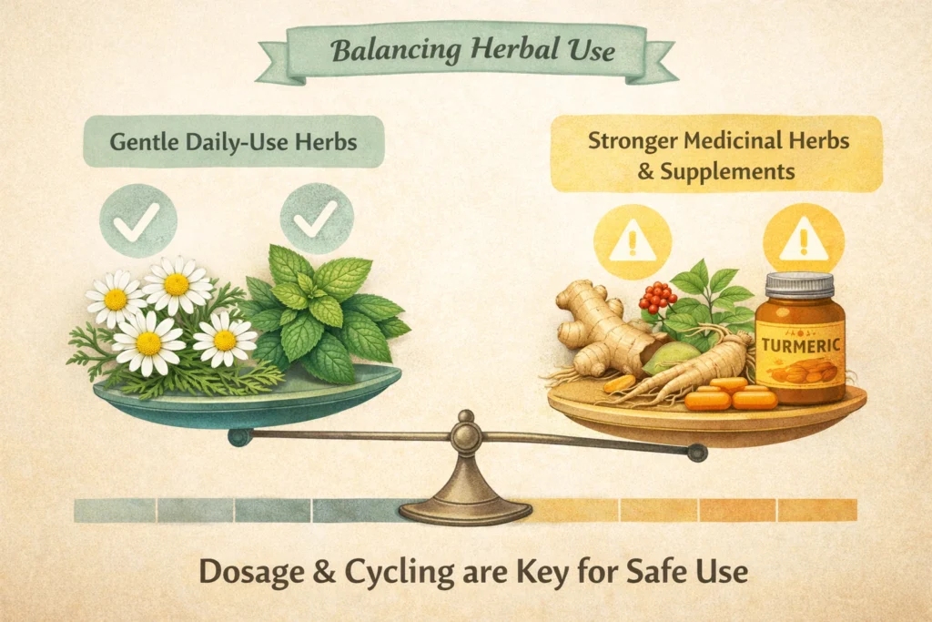 Image comparing gentle daily-use herbs such as chamomile and peppermint on one side, and stronger medicinal herbs like ginseng, ashwagandha, and turmeric supplements on the other. The visual distinction highlights the importance of dosage and cycling. The image conveys balance and responsible use rather than fear, reinforcing informed herbal decision-making.